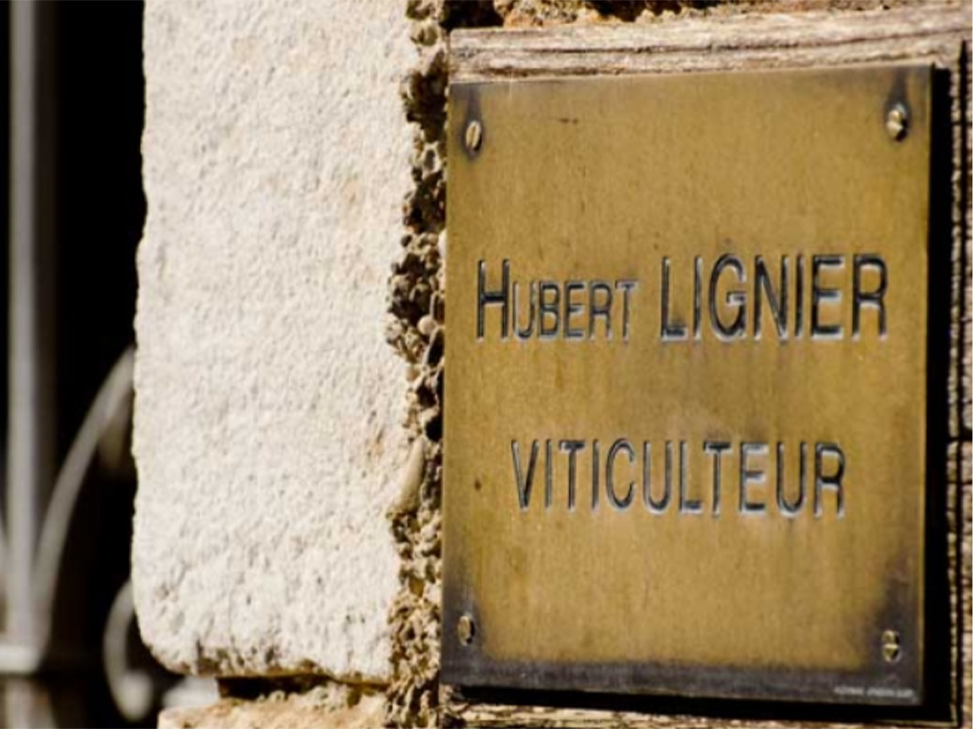 Weine von Domaine Hubert & Laurent Lignier Domaine Hubert & Laurent Lignier