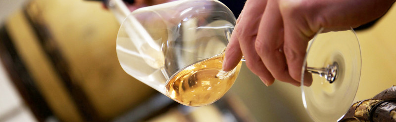 SECLI Weinwelt Weine Philosophie