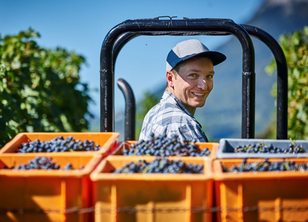 Weingut Roman Hermann