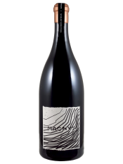 Pinot Noir Maienfeld AOC Magnus - SECLI KELLERSELEKTION