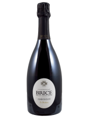 Parcellaire Le Chatelaine Ambonnay Grand Cru Brut Nature AC