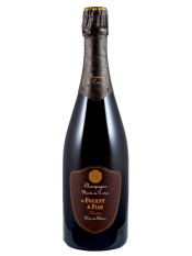Monts de Vertus Extra Brut 1er Cru Monts de Vertus Extra Brut 1er Cru